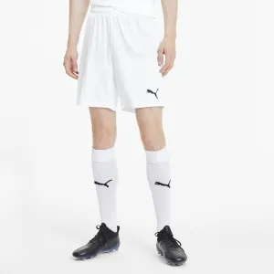 Puma TEAM GOAL 23 KNIT SHORTS Pánske šortky, biela, veľkosť