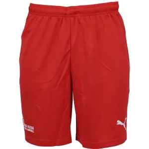 Puma HOME SHORTS MEN Pánske hádzanárske kraťasy, červená, veľkosť