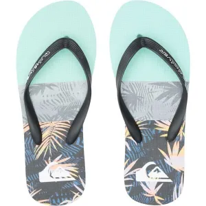 Quiksilver MOLOKAI PANEL Pánske žabky, mix, veľkosť 40