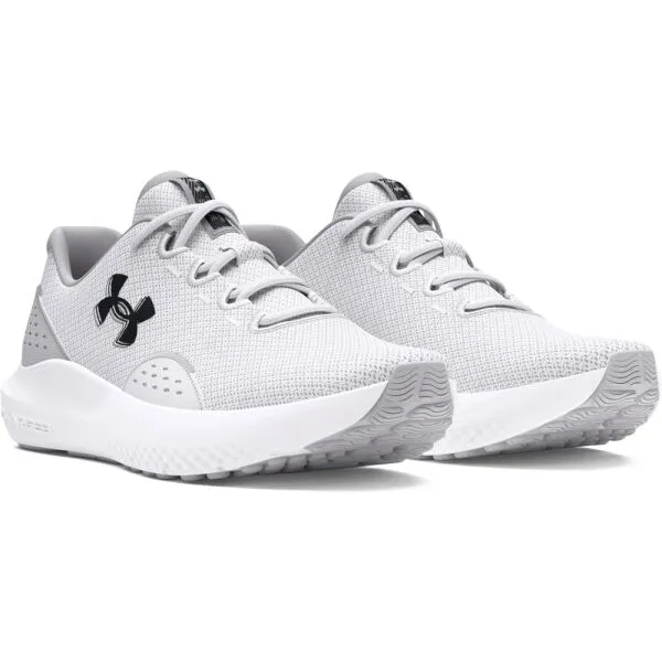 Men's shoes Under Armour Charged Surge 4