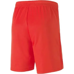 Puma TEAM GOAL 23 KNIT SHORTS Pánske šortky, červená, veľkosť