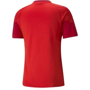 Puma TEAMCUP TRAINING JERSEY Pánsky dres, červená, veľkosť