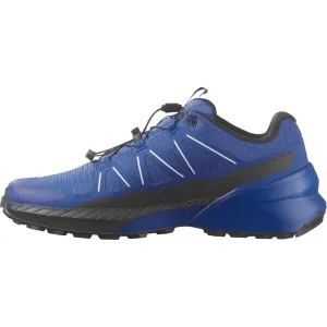 Salomon SPEEDCROSS PEAK Pánska obuv na trailový beh, modrá, veľkosť 44 2/3