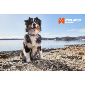 NON-STOP DOGWEAR CRUISE COLLAR Polosťahovací obojok, oranžová, veľkosť