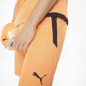 Puma TEAM LIGA SHORTS Pánske šortky, oranžová, veľkosť