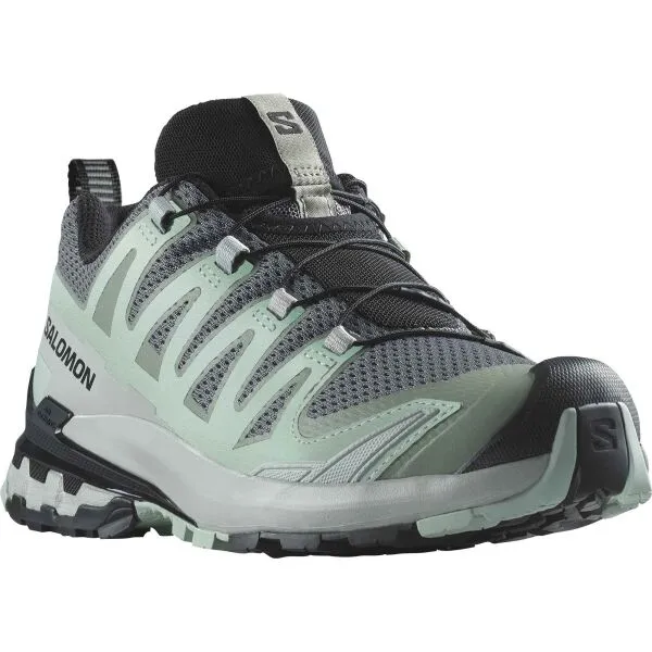 Dámske bežecké topánky Salomon Xa Pro 3D V9 - quiet/lily/blue