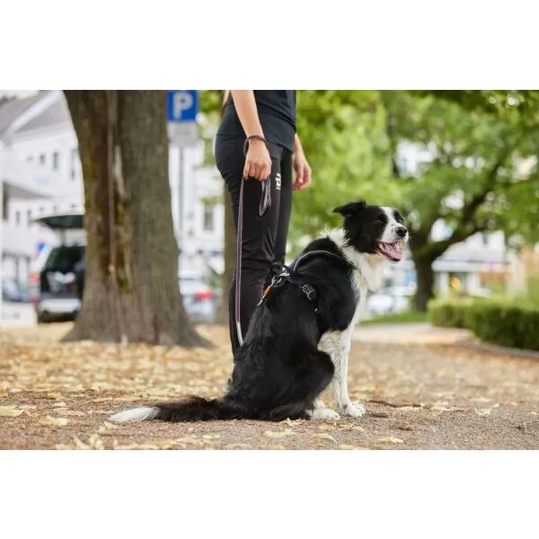 NON-STOP DOGWEAR MOVE LEASH 170 CM Vôdzka, modrá, veľkosť