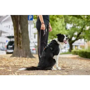 NON-STOP DOGWEAR MOVE LEASH 170 CM Vôdzka, modrá, veľkosť