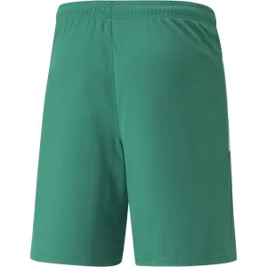 Puma TEAM LIGA SHORTS Pánske šortky, zelená, veľkosť