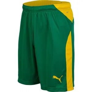 Puma KC LIGA SHORTS Pánske futbalové šortky, zelená, veľkosť