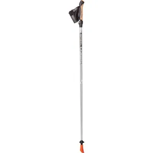 Gabel NORDIC TECH 60 Palice na nordic walking, strieborná, veľkosť