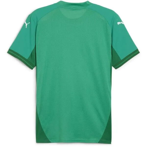 Puma TEAMFINAL JERSEY Pánsky futbalový dres, zelená, veľkosť