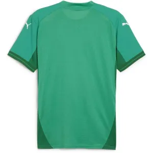 Puma TEAMFINAL JERSEY Pánsky futbalový dres, zelená, veľkosť