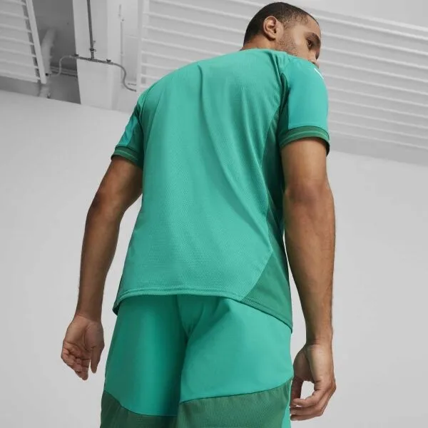 Puma TEAMFINAL JERSEY Pánsky futbalový dres, zelená, veľkosť