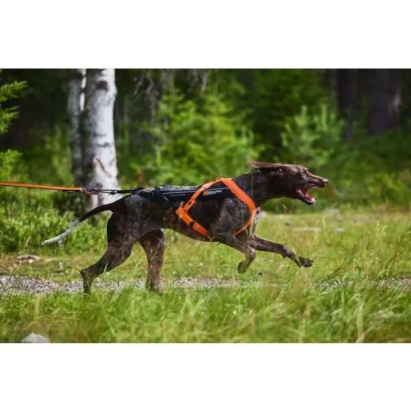 NON-STOP DOGWEAR FREEMOTION HARNESS 5.0 Postroj pre psov, oranžová, veľkosť