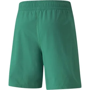 Puma TEAMFINAL SHORTS Pánske futbalové šortky, zelená, veľkosť