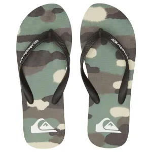 Men's flip-flops Quiksilver MOLOKAI ART