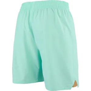 Puma SKS Shorts Promo Pánske futbalové šortky, tyrkysová, veľkosť