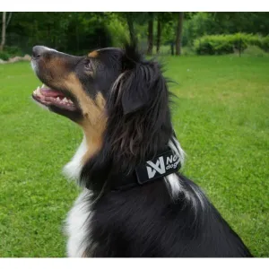 NON-STOP DOGWEAR SOLID COLLAR WD Obojok, čierna, veľkosť