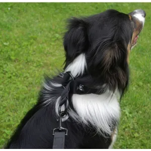 NON-STOP DOGWEAR SOLID COLLAR WD Obojok, čierna, veľkosť