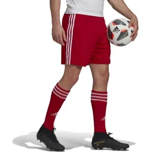 adidas SQUAD 21 SHO Pánske futbalové šortky, červená, veľkosť