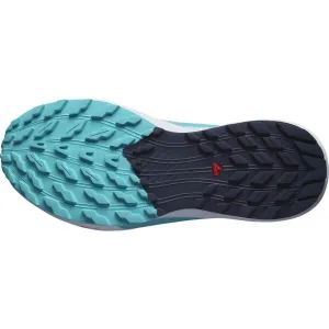 Dámske bežecké topánky Salomon Sense Ride 5 - cashmere/carbon/blue