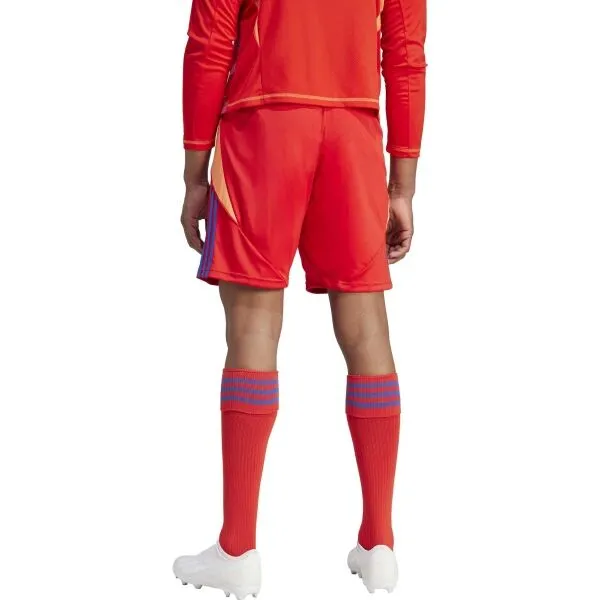 adidas TIRO 24 SHORTS Pánske futbalové kraťasy, červená, veľkosť