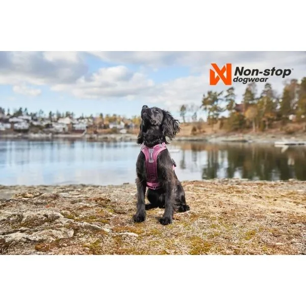 NON-STOP DOGWEAR RAMBLE HARNESS Postroj, oranžová, veľkosť