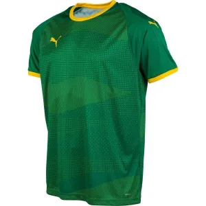 Puma KC LIGA JERSEY GRAPHIC Pánsky futbalový dres, zelená, veľkosť