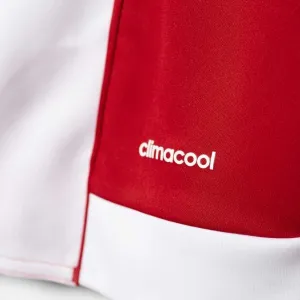 adidas STRIPED 15 JSY JR Chlapčenský futbalový dres, červená, veľkosť