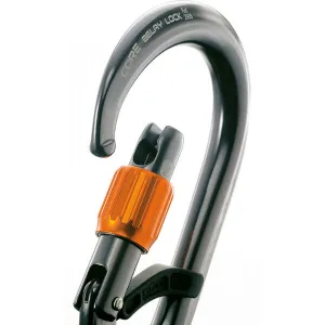 CAMP CORE BELAY LOCK Karabína, strieborná, veľkosť