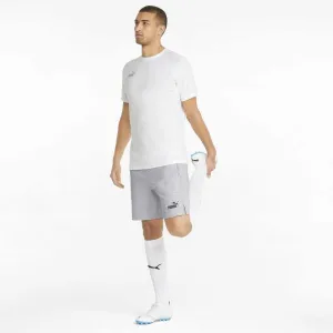 Puma TEAMFINAL CASUALS SHORTS Pánske športové kraťasy, sivá, veľkosť