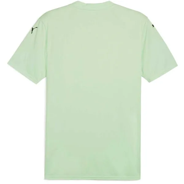 Puma TEAMGLORY JERSEY Pánsky futbalový dres, zelená, veľkosť
