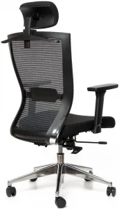 MULTISED Ergonomická kancelárska stolička FRIEMD – BZJ 383