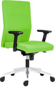 ANTARES kancelárske kreslo 8150 Vertika, podrúčky AR12