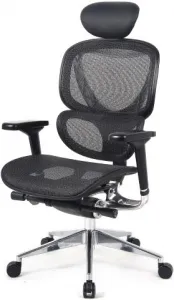 MULTISED kancelárska stolička FRIEMD - BZJ 380