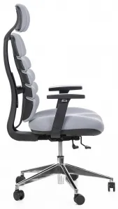 MERCURY Ergonomická kancelárska stolička SPINE sivá, s opierkou hlavy