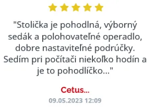 MERCURY Ergonomická kancelárska stolička SPINE sivá, s opierkou hlavy