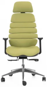 MERCURY Ergonomická kancelárska stolička SPINE zelená, s opierkou hlavy