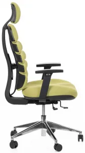 MERCURY Ergonomická kancelárska stolička SPINE zelená, s opierkou hlavy
