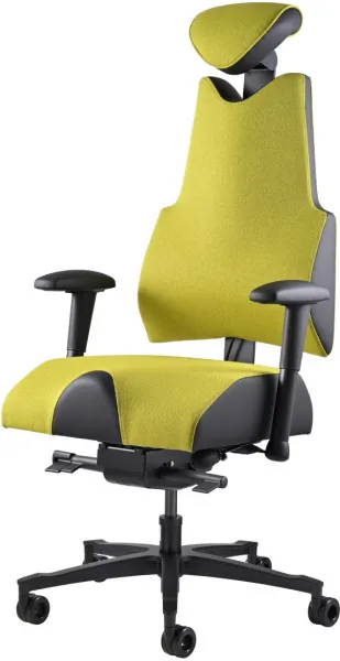 Zdravotná ergonomická stolička Therapia Body+