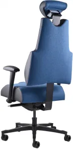 Zdravotná ergonomická stolička Therapia Body+