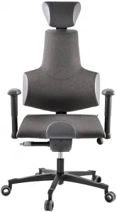 Zdravotná ergonomická stolička Therapia Sense