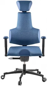 Zdravotná ergonomická stolička Therapia Sense
