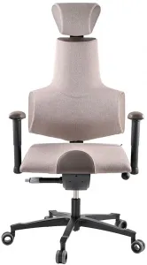 Zdravotná ergonomická stolička Therapia Sense