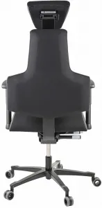 Zdravotná ergonomická stolička Therapia Sense