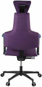 Zdravotná ergonomická stolička Therapia Sense