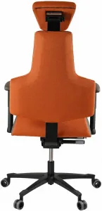 Zdravotná ergonomická stolička Therapia Sense