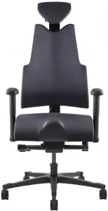 Zdravotná ergonomická stolička Therapia Body+
