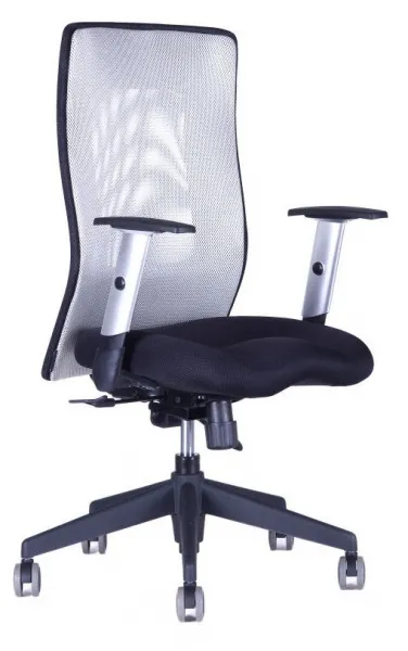 OFFICE PRO Ergonomická kancelárska stolička CALYPSO GRAND sivá